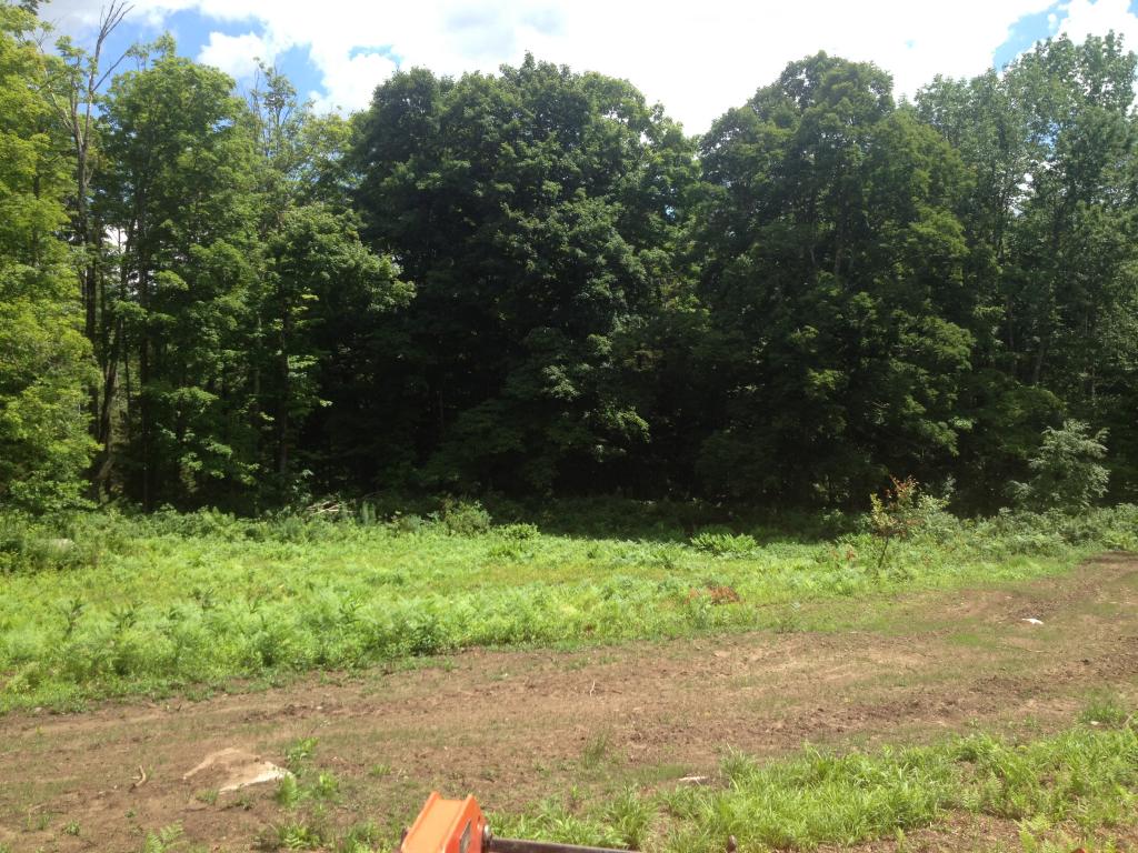Lot 3 Toad Road Windham, VT 05359 - Photo 2 of 16
