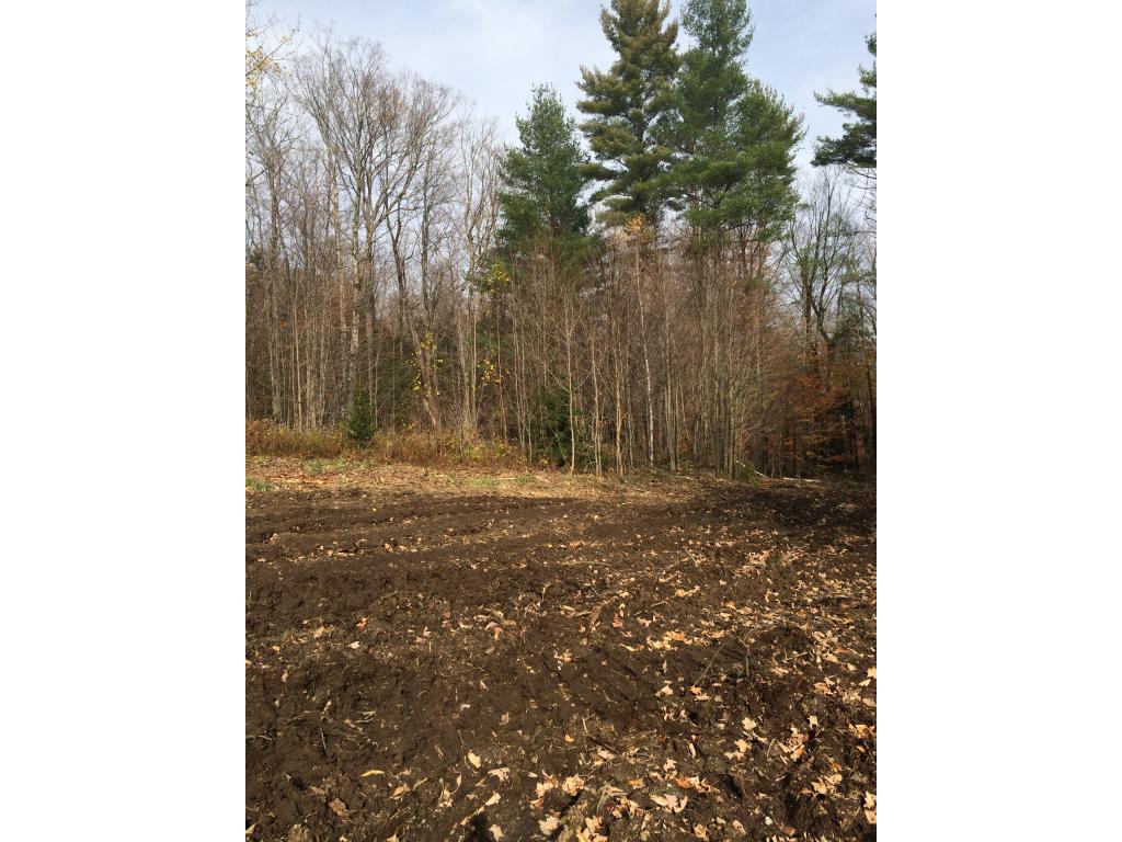Lot 3 Toad Road Windham, VT 05359 - Photo 11 of 16