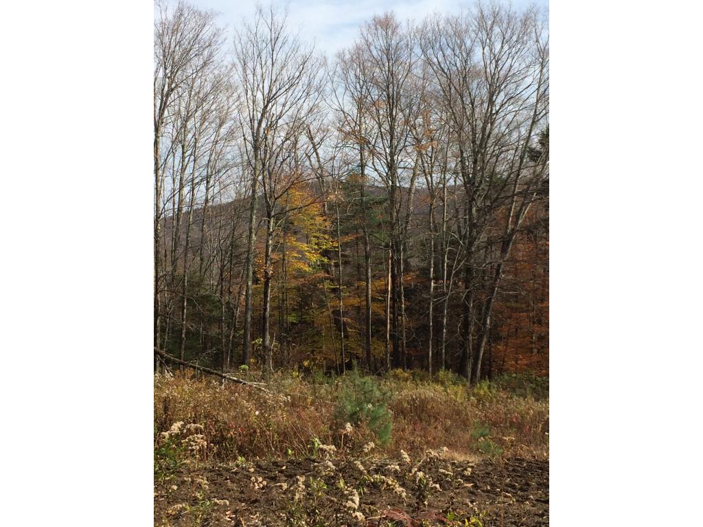 Lot 3 Toad Road Windham, VT 05359 - Photo 12 of 16