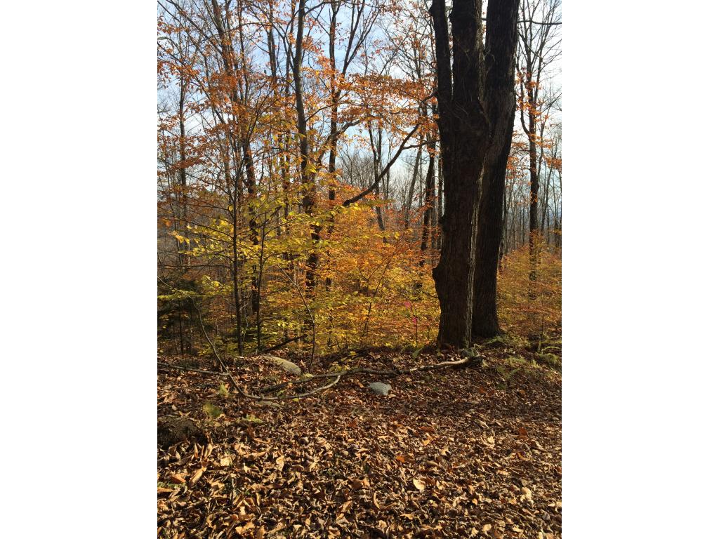 Lot 3 Toad Road Windham, VT 05359 - Photo 14 of 16