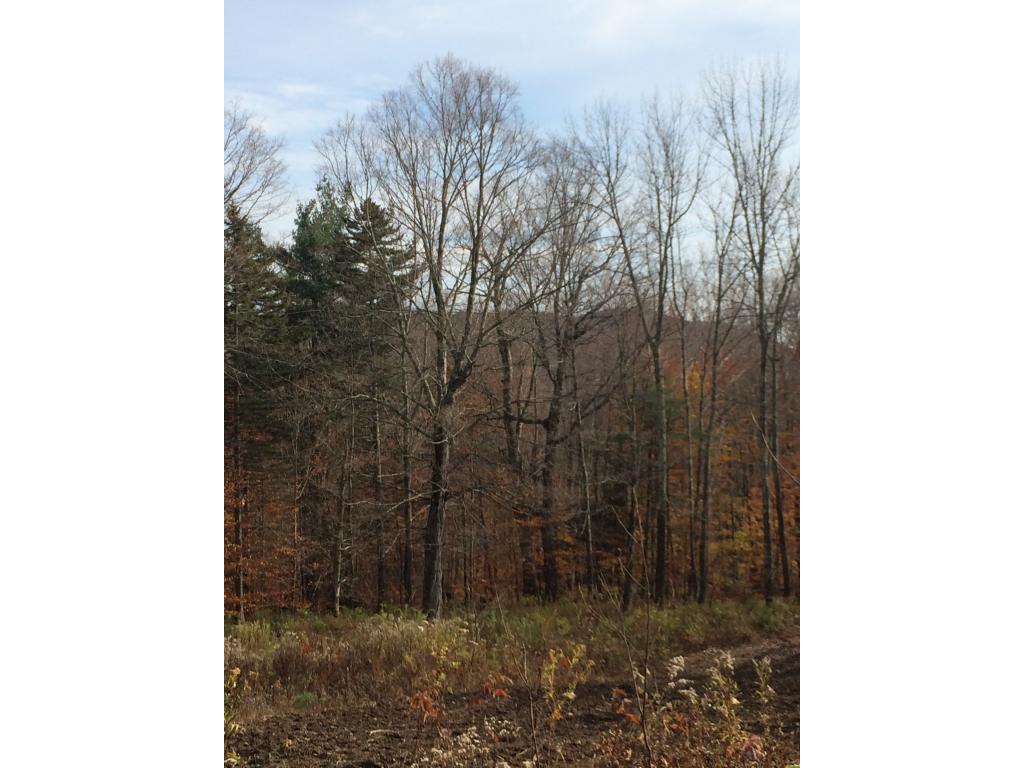 Lot 3 Toad Road Windham, VT 05359 - Photo 3 of 16
