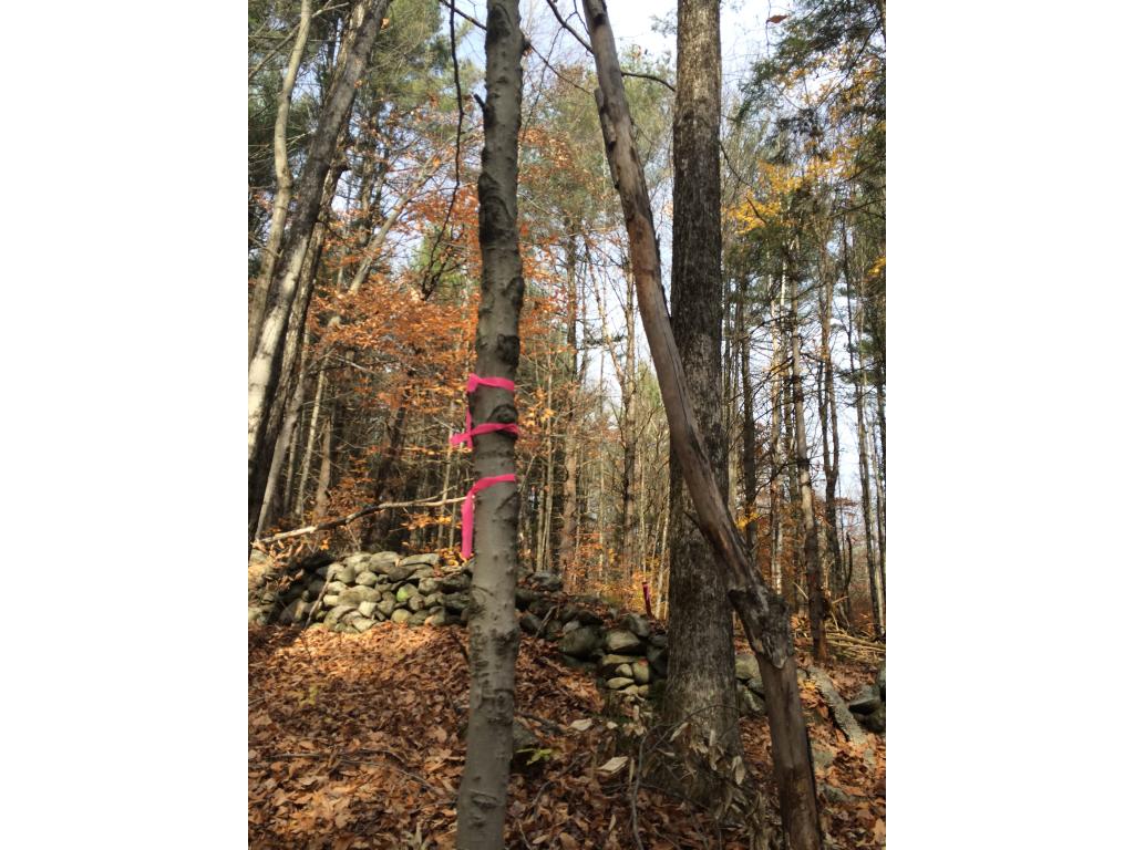 Lot 3 Toad Road Windham, VT 05359 - Photo 4 of 16