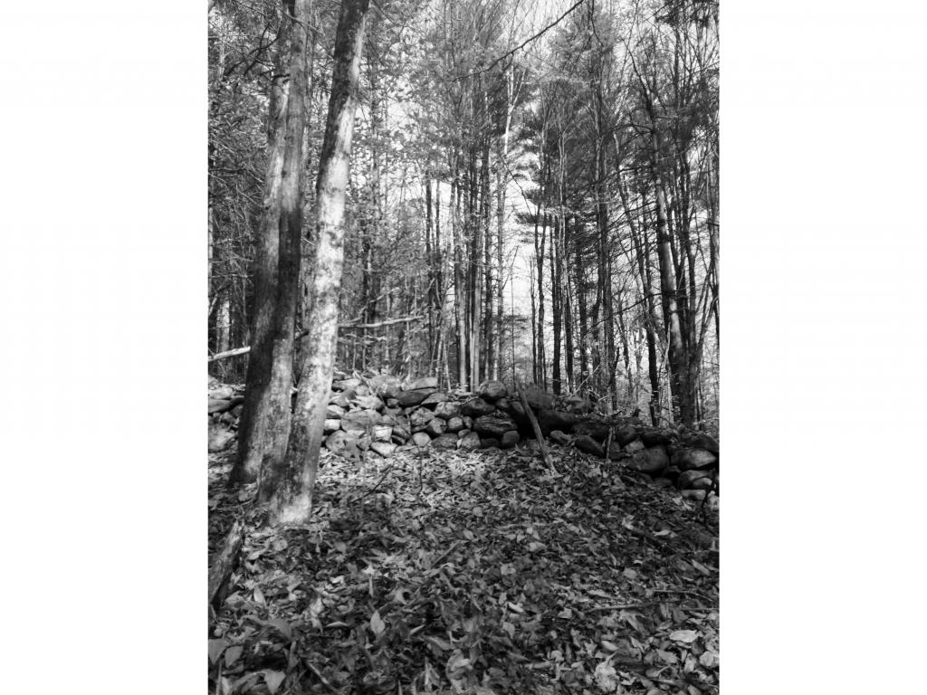 Lot 3 Toad Road Windham, VT 05359 - Photo 5 of 16