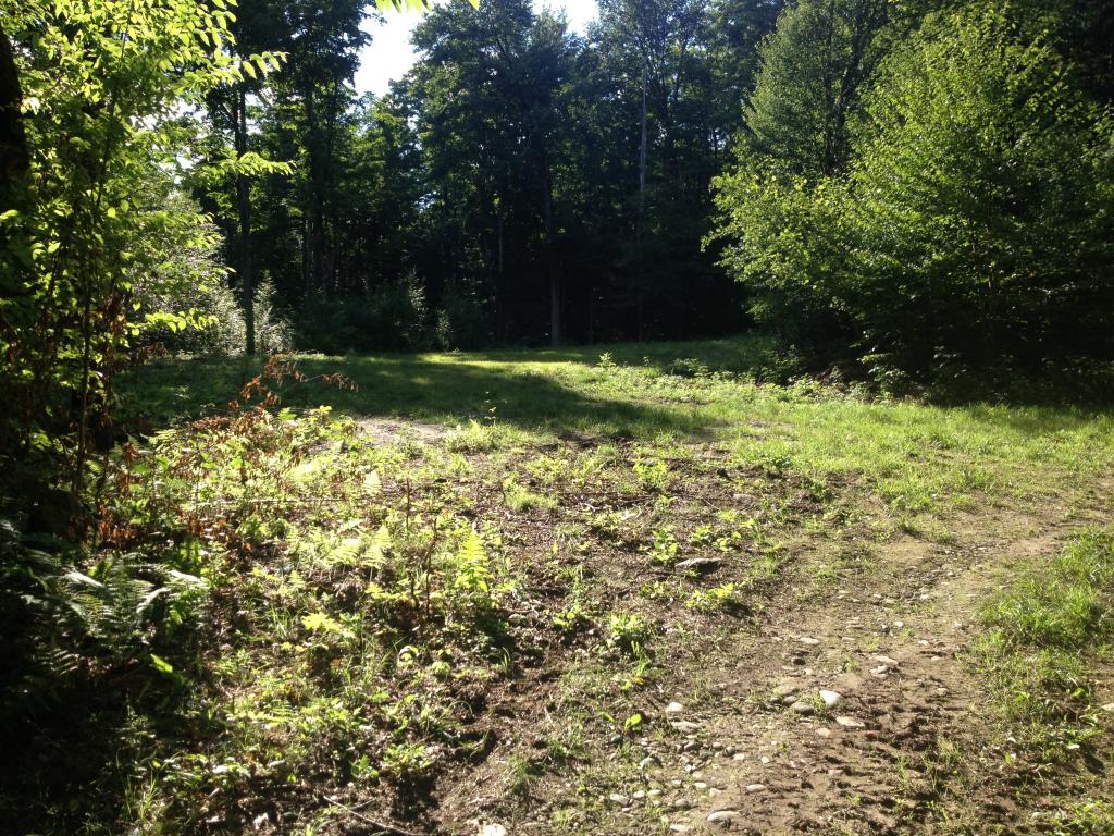 Lot 3 Toad Road Windham, VT 05359 - Photo 6 of 16