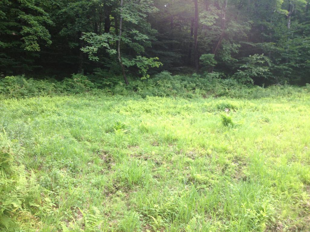 Lot 3 Toad Road Windham, VT 05359 - Photo 7 of 16