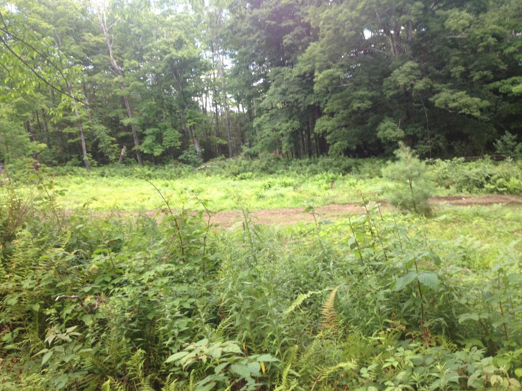 Lot 3 Toad Road Windham, VT 05359 - Photo 8 of 16