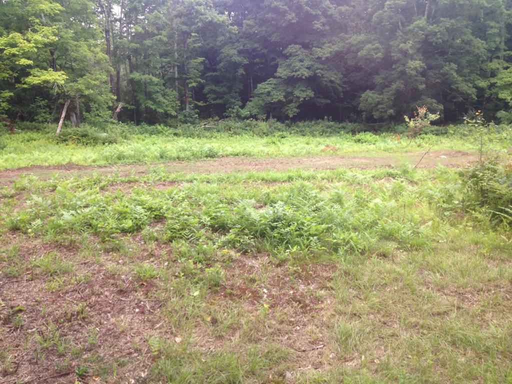 Lot 3 Toad Road Windham, VT 05359 - Photo 9 of 16