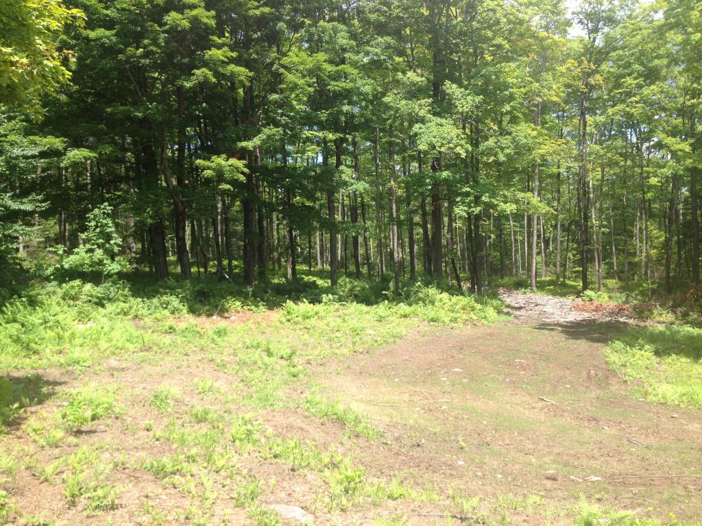 Lot 3 Toad Road Windham, VT 05359 - Photo 10 of 16