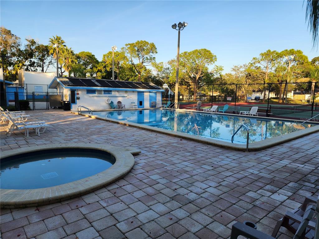 1206 Sawgrass Court Oldsmar, FL 34677 - Photo 3 of 10 a view of swimming pool