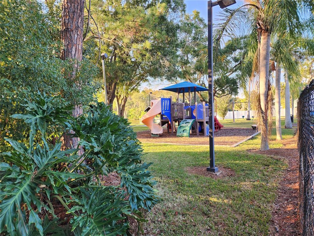 1206 Sawgrass Court Oldsmar, FL 34677 - Photo 4 of 10 an outdoor space with lots of green space