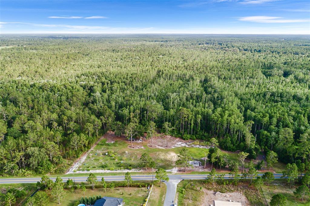 0 Green Pond Road Polk City, FL 33868 - Photo 2 of 10 a view of an outdoor space and a yard