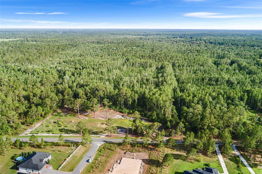 0 Green Pond Road Polk City, FL 33868 - Photo 4 of 10 a view of outdoor space and mountain view