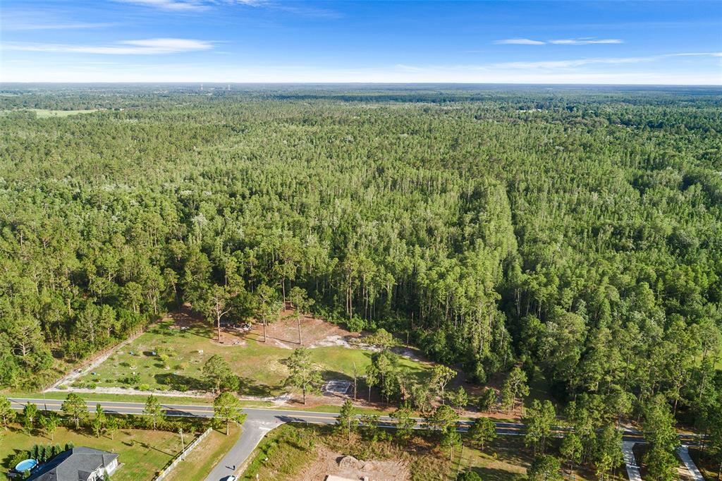 0 Green Pond Road Polk City, FL 33868 - Photo 5 of 10 a view of a yard