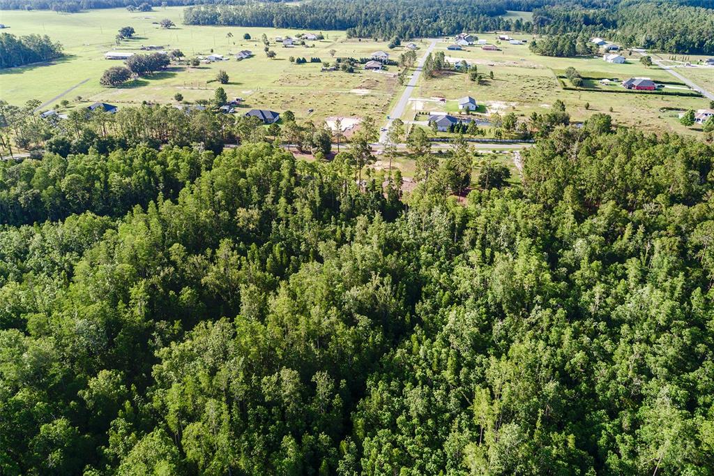 0 Green Pond Road Polk City, FL 33868 - Photo 6 of 10 a view of a yard with an outdoor space