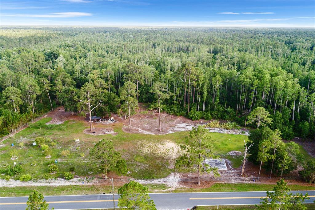 0 Green Pond Road Polk City, FL 33868 - Photo 7 of 10 a view of a yard with an outdoor space