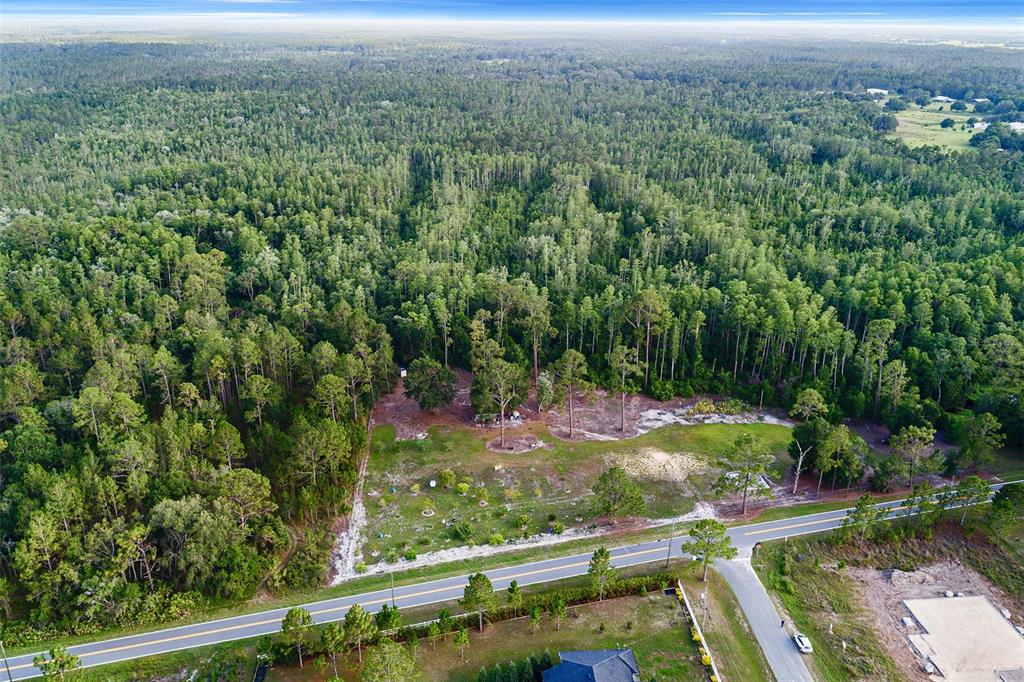 0 Green Pond Road Polk City, FL 33868 - Photo 8 of 10 a view of a garden with a yard