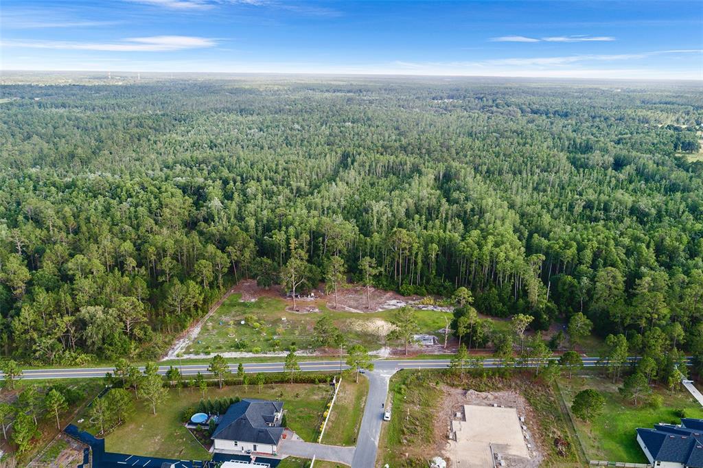 0 Green Pond Road Polk City, FL 33868 - Photo 10 of 10 an aerial view of residential houses with outdoor space and trees