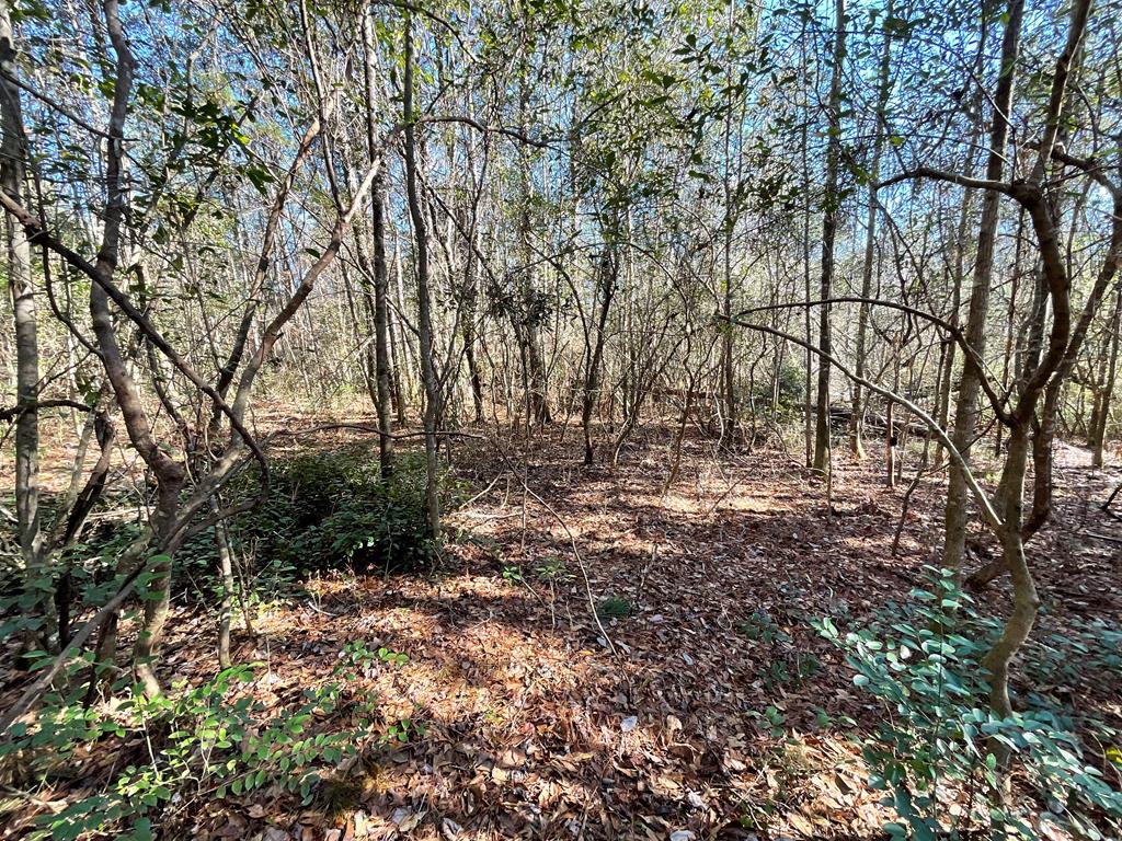 Vacant Kelly-Collins Road Climax, GA 39834 - Photo 45 of 65 Gallery Image 45