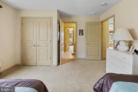 a view of a backyard with a garden and plants