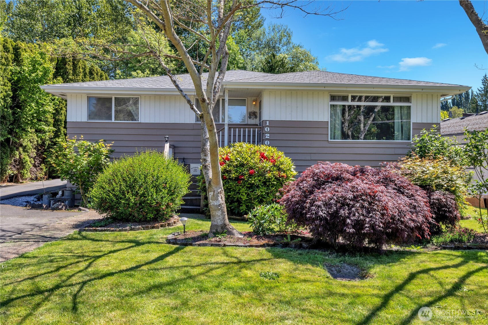 a view of a house with a yard and potted plants