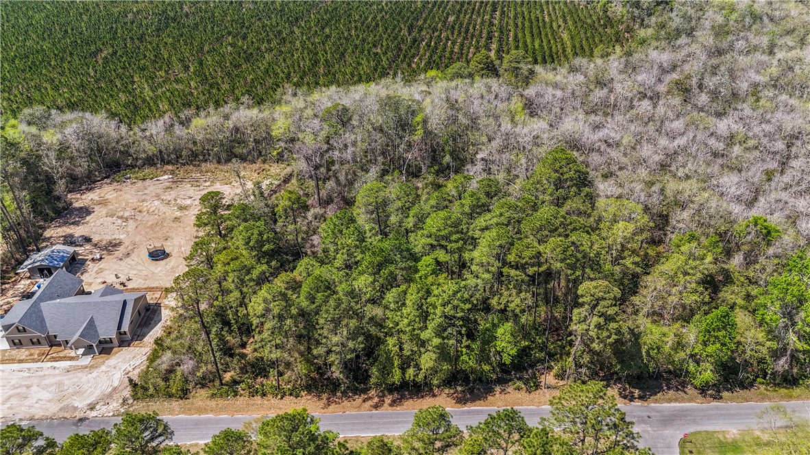0 Littlefield Street Jesup, GA 31546 - Photo 1 of 5 Ariel views of a beautiful wooded lot on Littlefield St in Jesup, GA