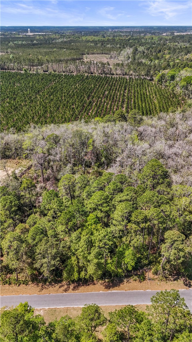 0 Littlefield Street Jesup, GA 31546 - Photo 2 of 5 Ariel views of a beautiful wooded lot on Littlefield St in Jesup, GA