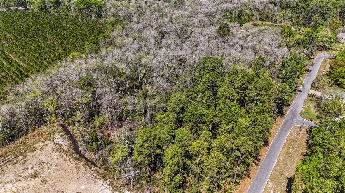 0 Littlefield Street Jesup, GA 31546 - Photo 3 of 5 Ariel views of a beautiful wooded lot on Littlefield St in Jesup, GA