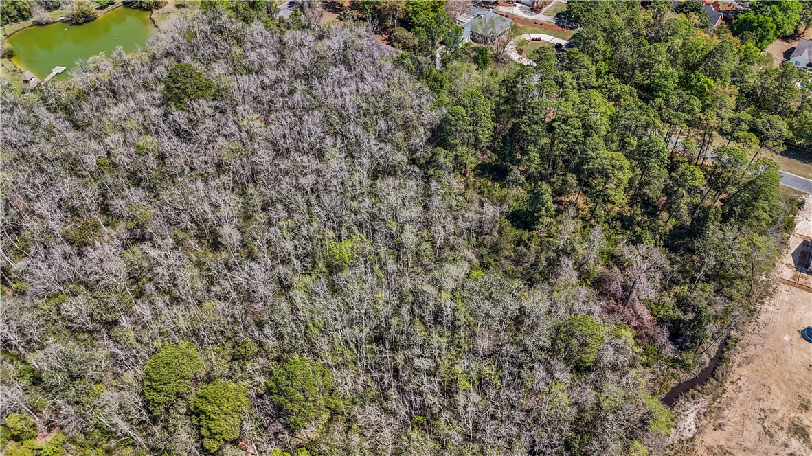 0 Littlefield Street Jesup, GA 31546 - Photo 4 of 5 Ariel views of a beautiful wooded lot on Littlefield St in Jesup, GA