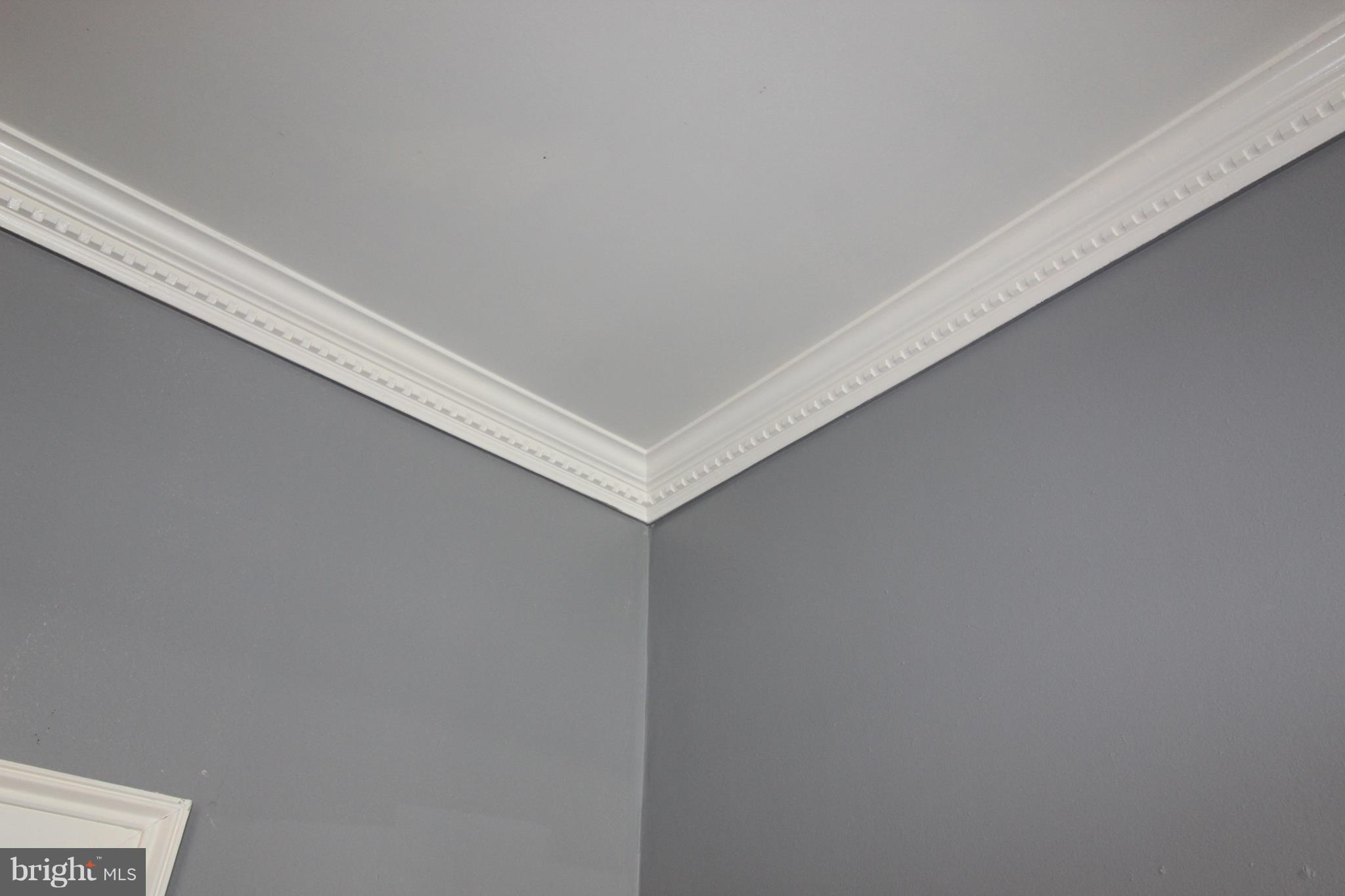 8 West 4th Street Frederick, MD 21701 - Photo 3 of 19 Interior (General)