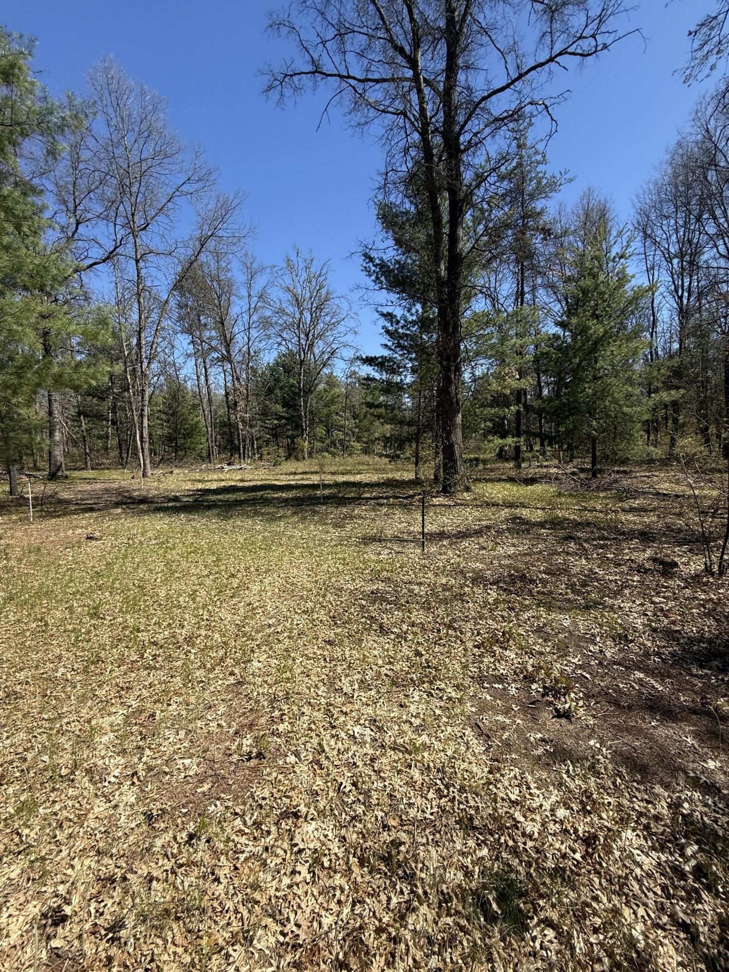 4097 South Michway Road Baldwin, MI 49304 - Photo 15 of 20 IMG_0533