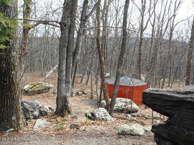 105 Ridge Road Hawley, PA 18428 - Photo 34 of 41 a view of a backyard with a large tree