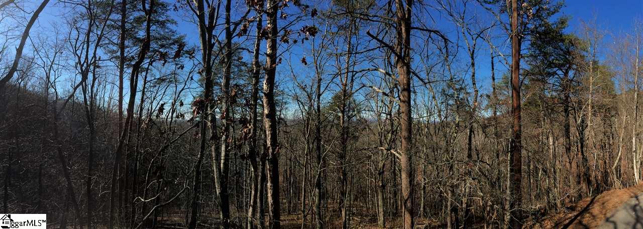 Laurel Ridge Road Greenville, SC 29609 - Photo 1 of 6