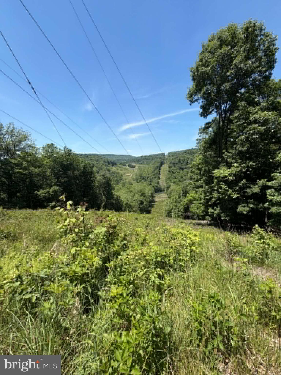 1515 Barnum Road Keyser, WV 26726 - Photo 36 of 64
