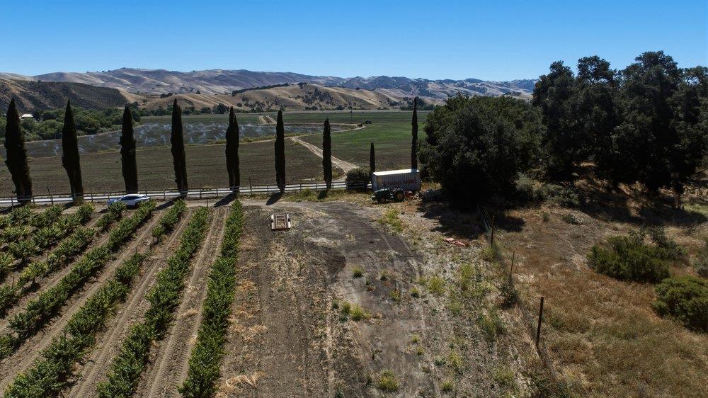 24.5-acres Cienega Road Paicines, CA 95043 - Photo 21 of 38