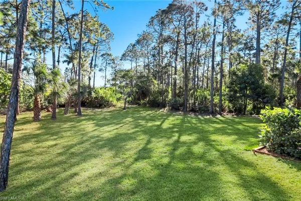 a view of backyard with green space