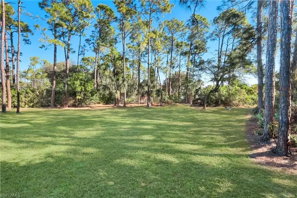 a view of a park