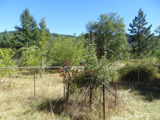 2500 Van Duzen Road Bridgeville, CA 95526 - Photo 13 of 48