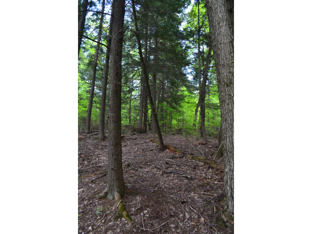 217 Quincy Road Rumney, NH 03266 - Photo 22 of 29