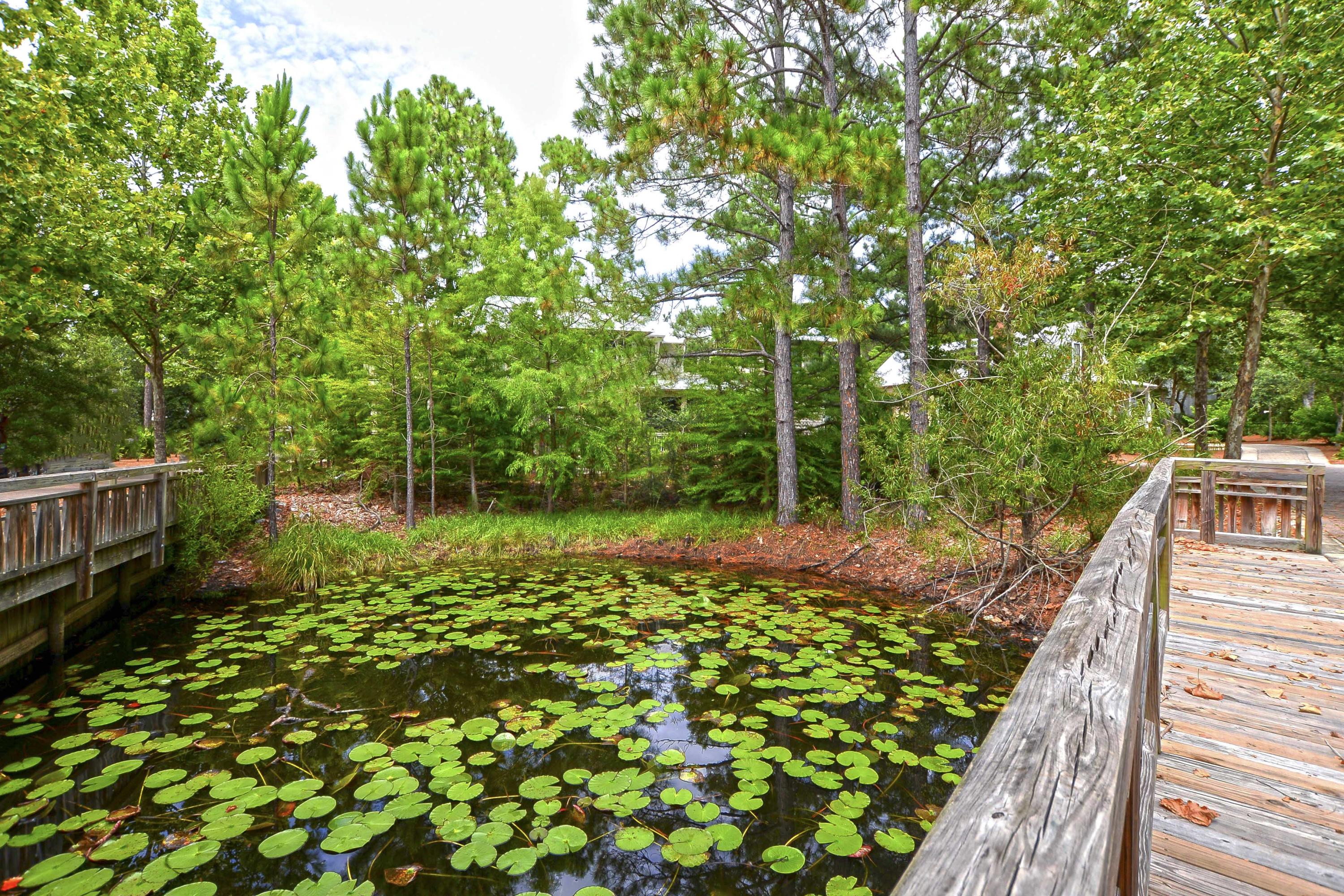 33 Pontchartrain North Santa Rosa Beach, FL 32459 - Photo 42 of 49 a view of a backyard with pathway