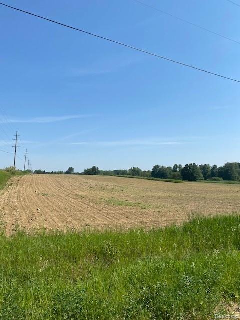 7451 Fostoria Road Mayville, MI 48744 - Photo 4 of 41