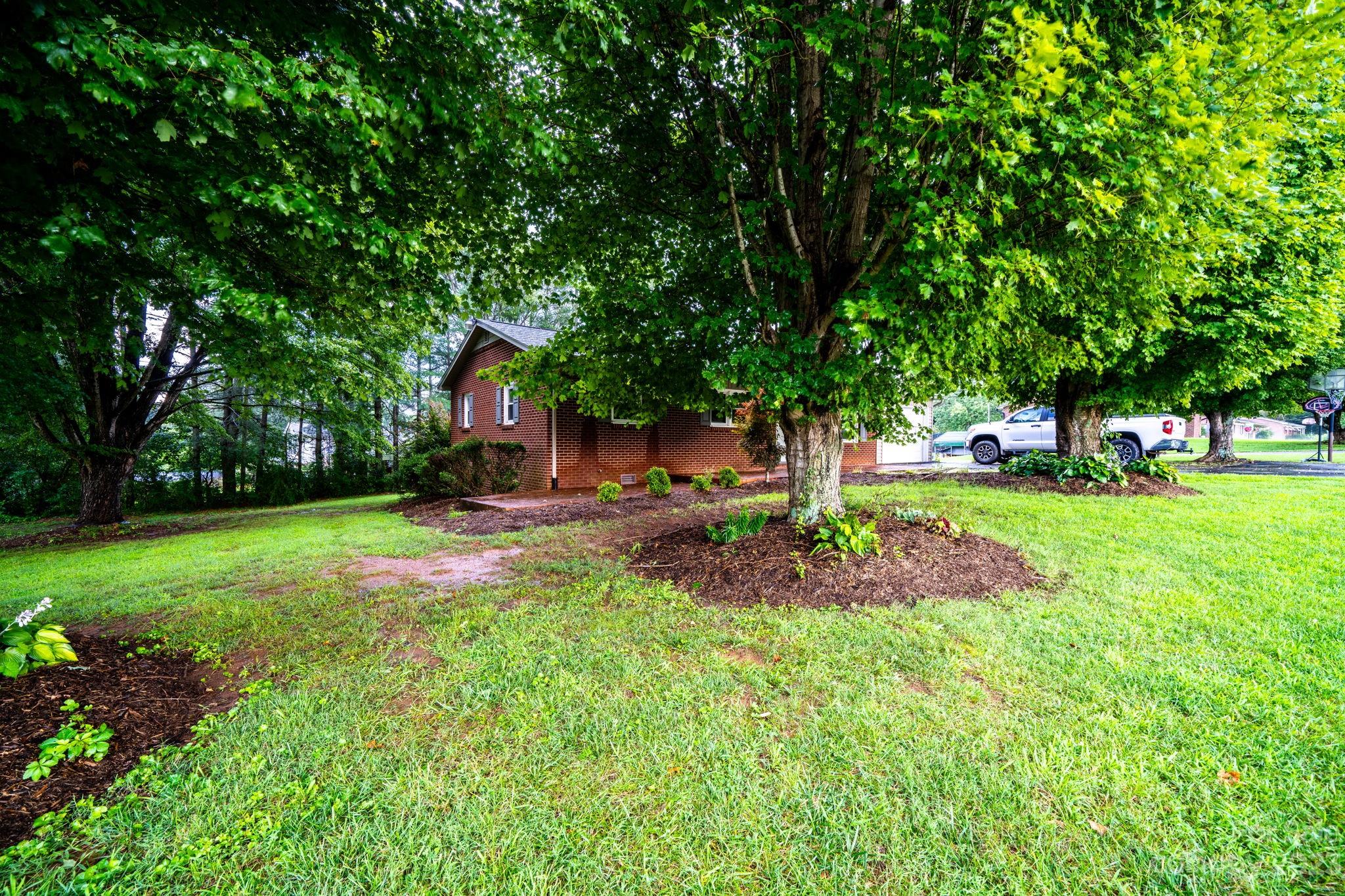 309 Sheldon Street Hudson, NC 28638 - Photo 37 of 40 a view of a park with large trees
