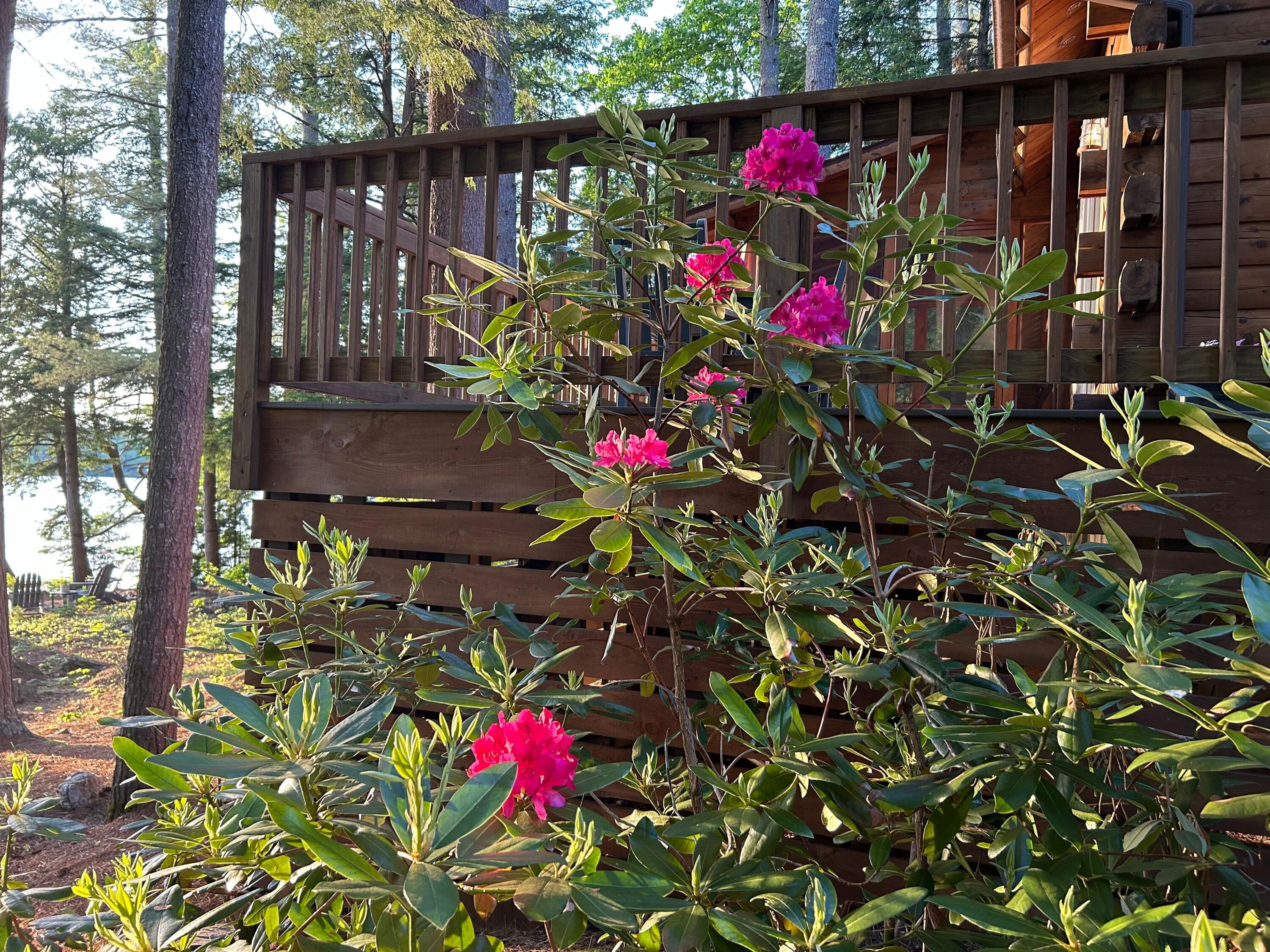 108 Packard Shores Road Readfield, ME 04355 - Photo 110 of 113 IMG_7522