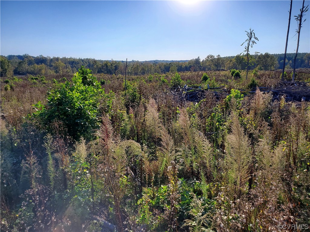 5-acres Indian Oak Road Crewe, VA 23930 - Photo 3 of 6 a view of a city