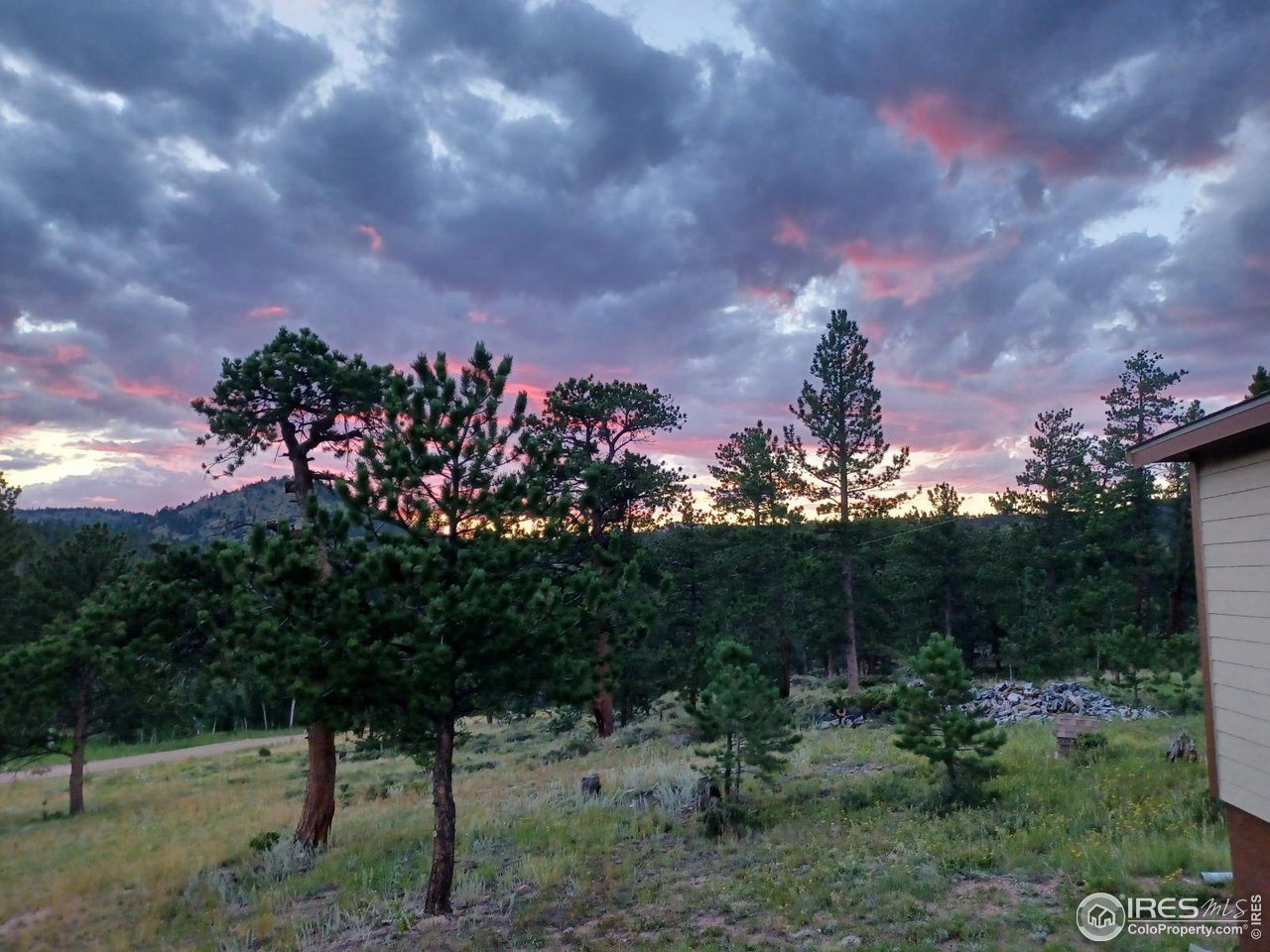 36 Comanche Circle Red Feather Lakes, CO 80545 - Photo 21 of 40 a view of a bunch of trees in a field