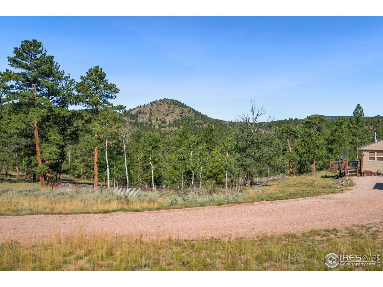 36 Comanche Circle Red Feather Lakes, CO 80545 - Photo 24 of 40 a view of a yard in front of a house