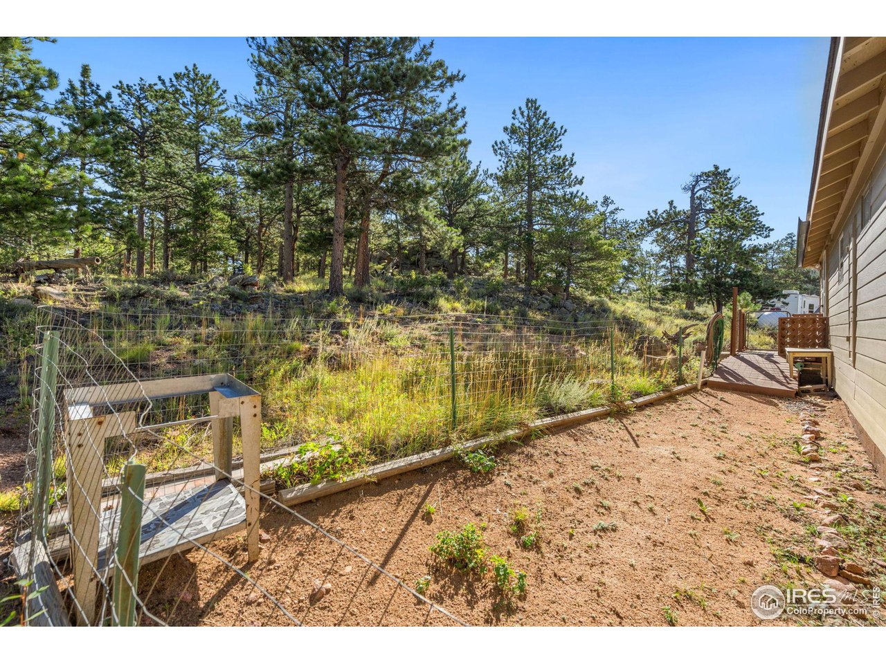 36 Comanche Circle Red Feather Lakes, CO 80545 - Photo 29 of 40