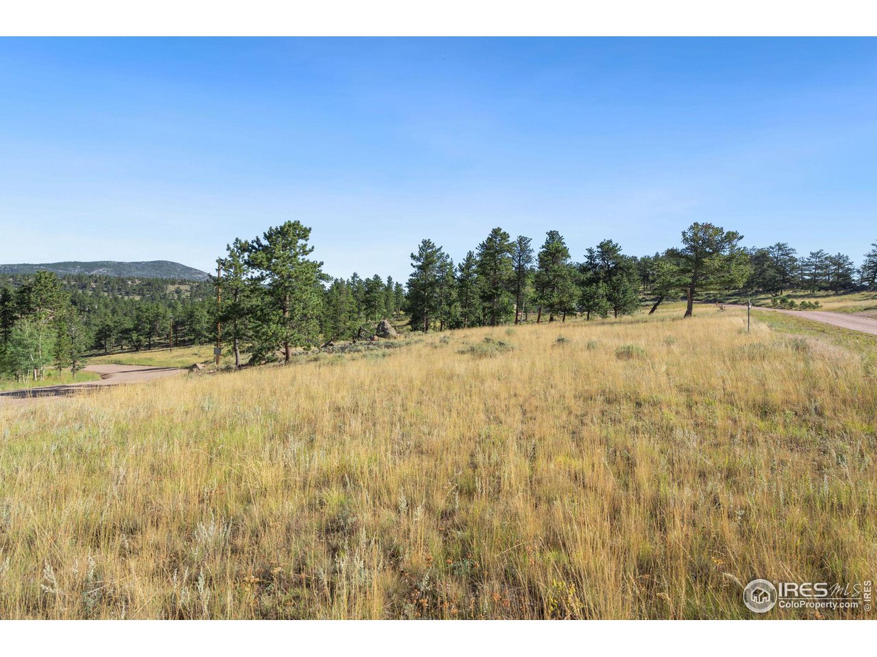 36 Comanche Circle Red Feather Lakes, CO 80545 - Photo 34 of 40 a view of a lake view