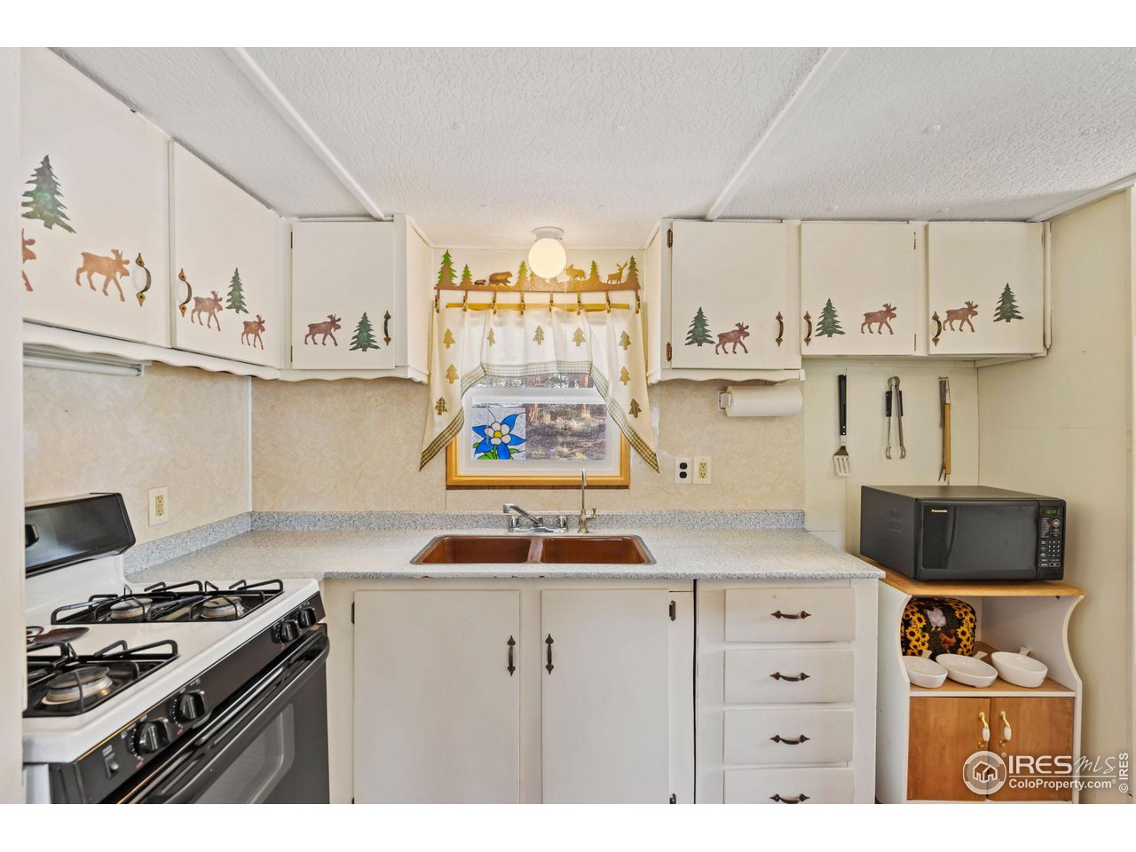 36 Comanche Circle Red Feather Lakes, CO 80545 - Photo 4 of 40 a kitchen with stainless steel appliances granite countertop a stove and a sink