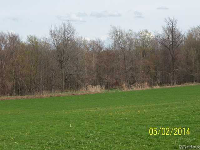 0 Kingsley Road Wyoming, NY 14591 - Photo 1 of 1 Exterior Front