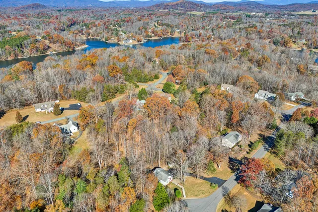 view of a wooden floor with large trees